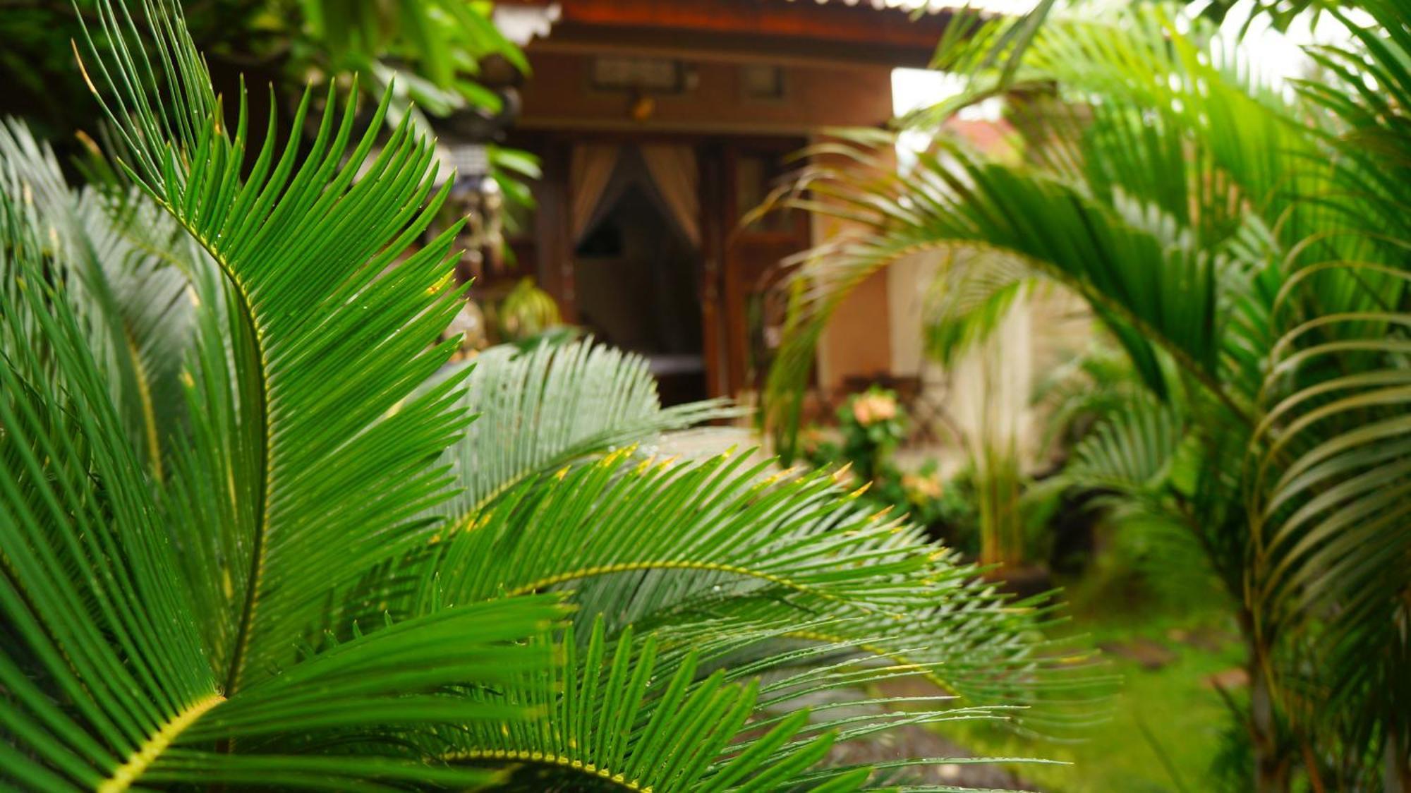Rumahku Homestay Amed Exterior foto